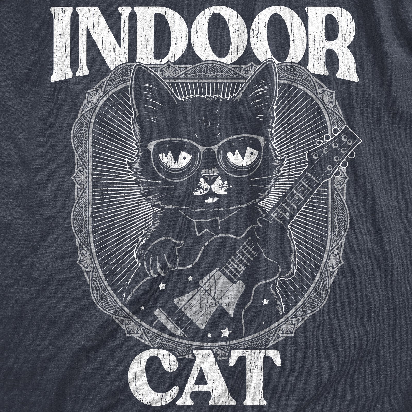 Mens Indoor Cat Funny T Shirt Introvert Sarcastic Tee for Men