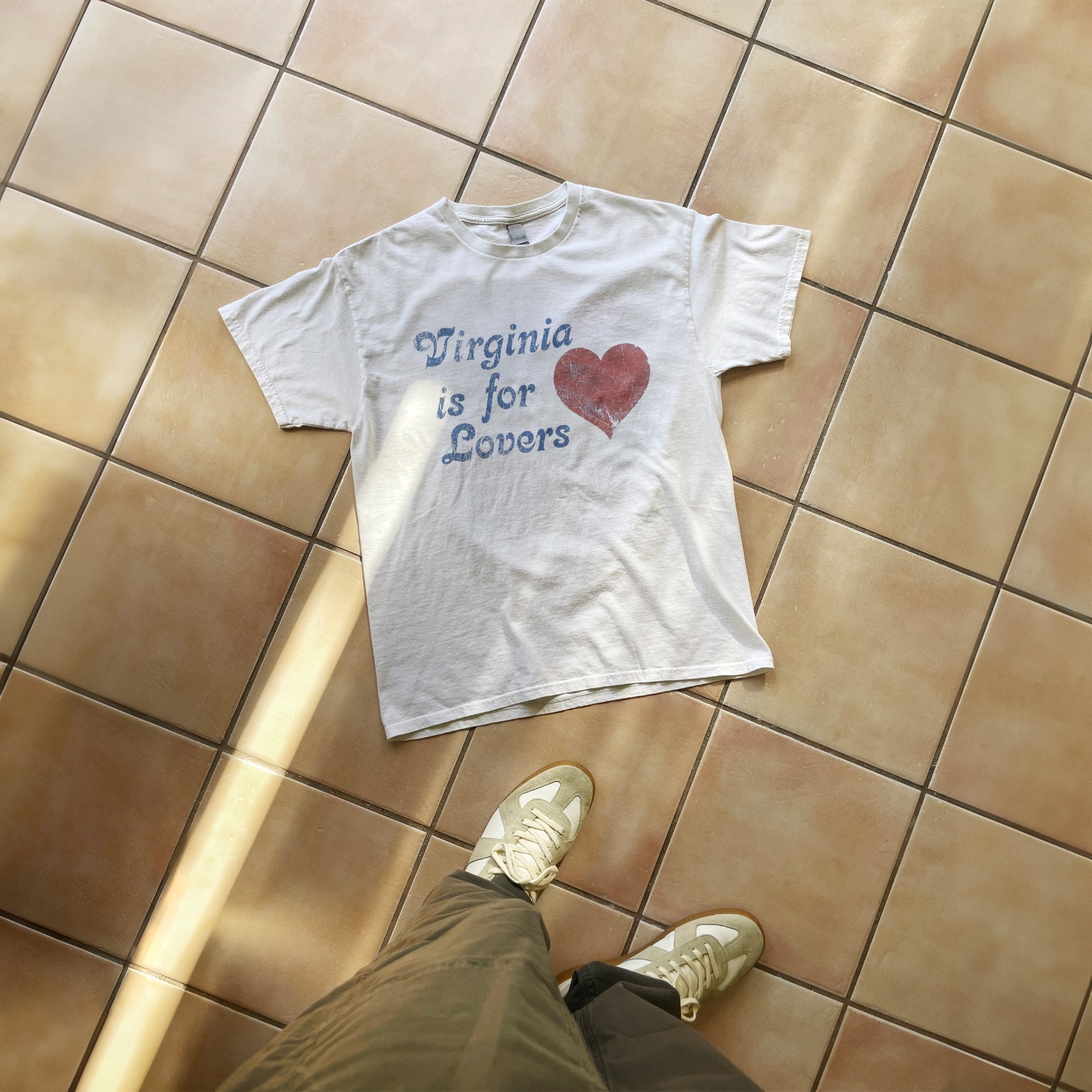 Virginia Is For Lovers Y2k T-Shirt