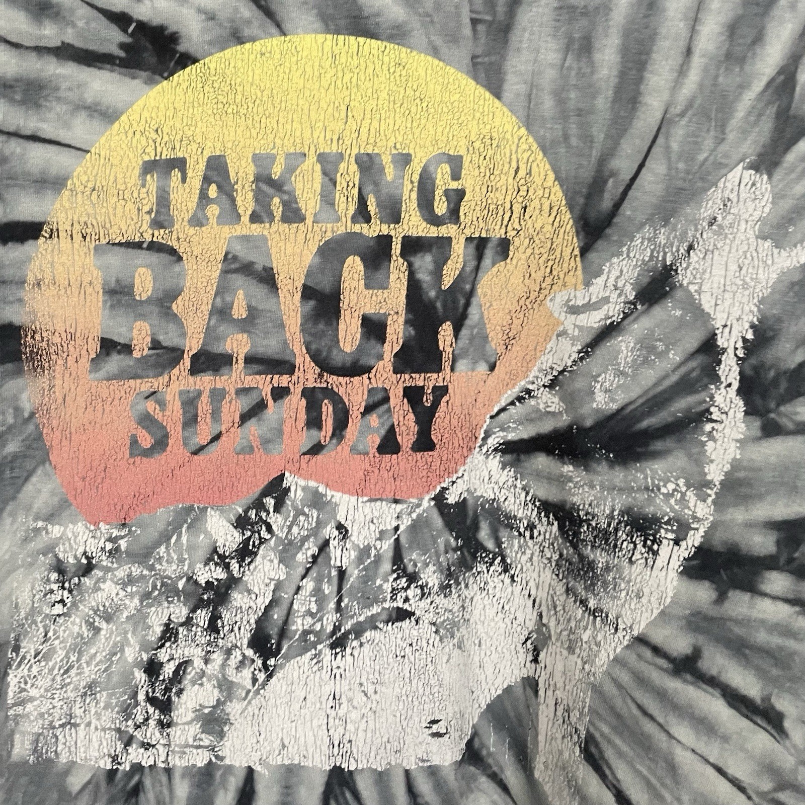 Taking Back Sunday T Shirt Medium Men’s Emo Pop Punk Wolf Graphic