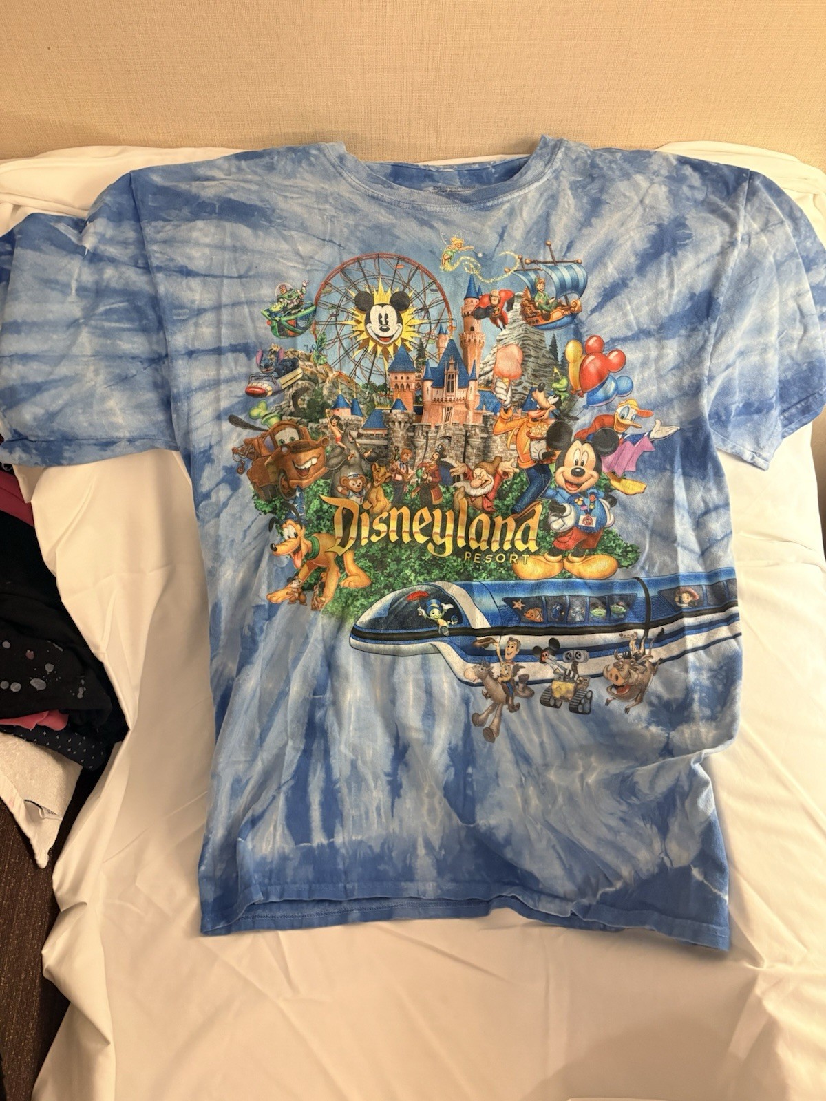 Disneyland/Walt Disney World Tie-Dye Graphic Crew Neck Cotton Knit T-Shirt, L