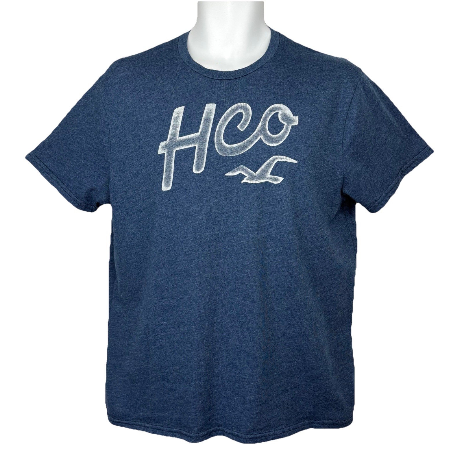 Hollister HCO T-Shirt/ Men’s (M) Blue Cotton Blend SURFING BEACH
