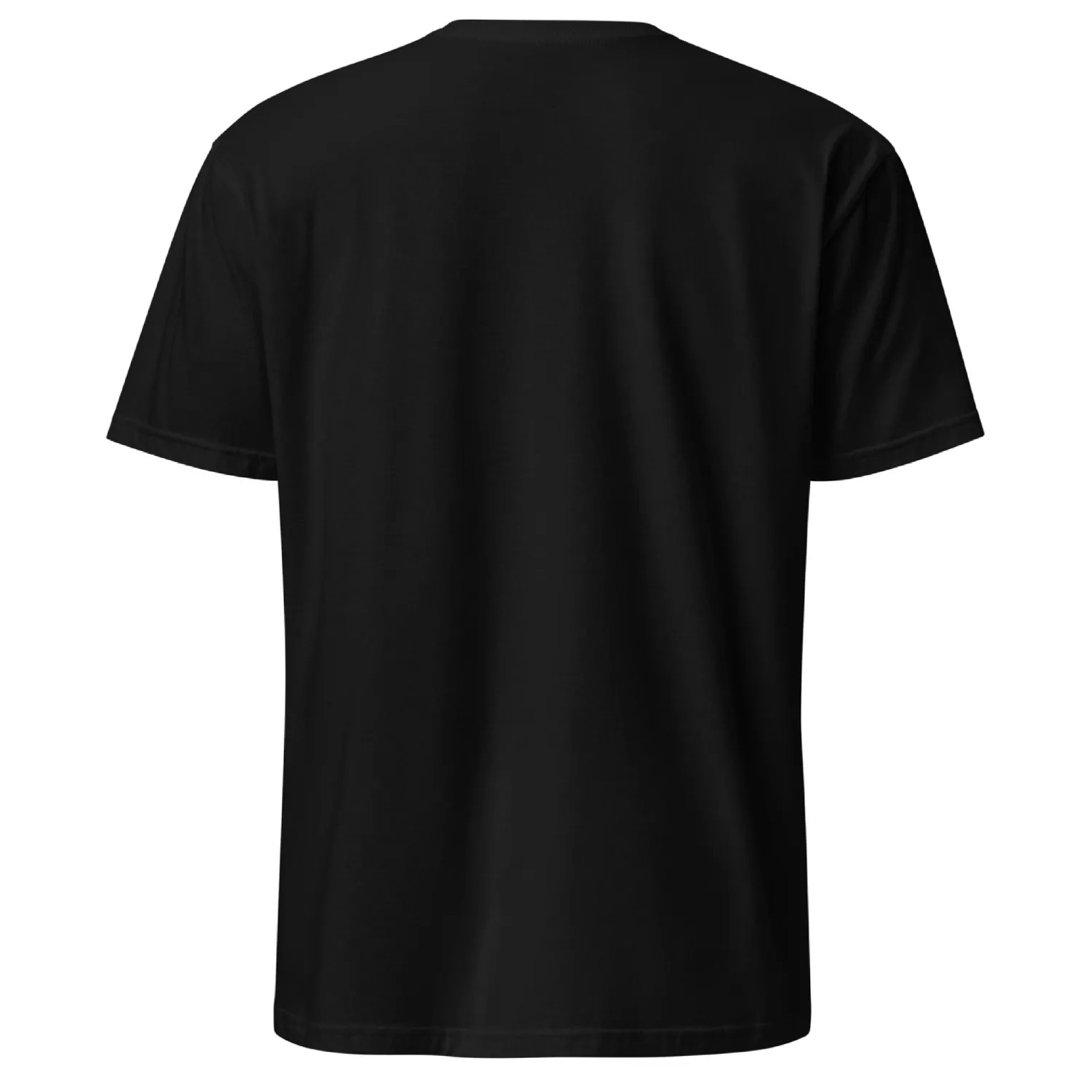 Vietnam Veteran We Fought Without Support We Weren’t Welcome Gift Unisex T-Shirt