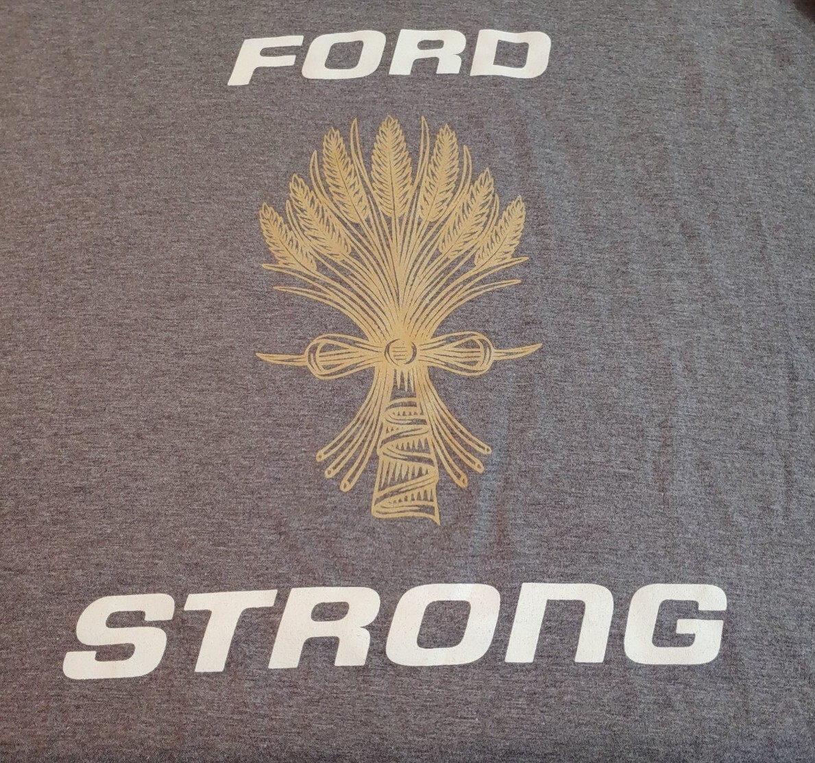 District Made Mens Graphic Tee Gray Size 3XL Short Sleeve Ford Strong Hurricanes