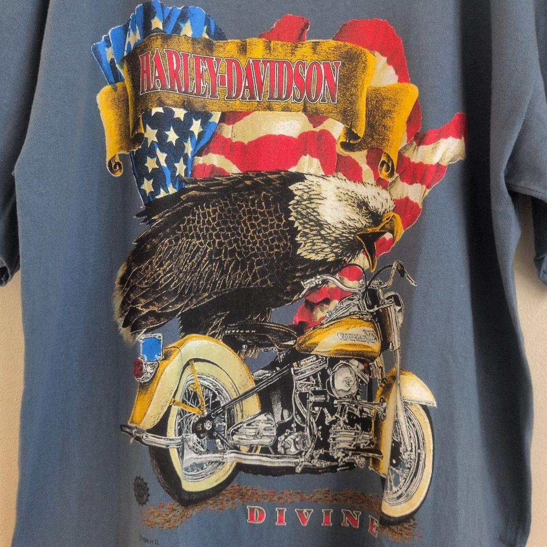 VTG 96 Harley Davidson T Shirt Large Eagle Flag USA Single Stitch Divine Biker