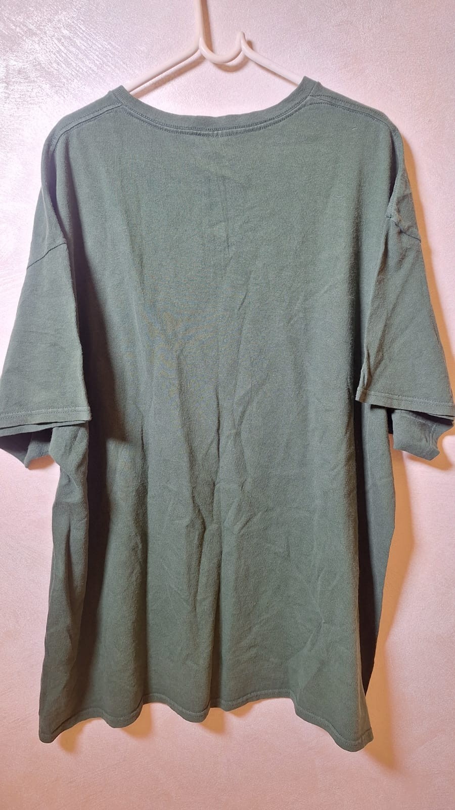 Vintage Delta Pro Weight “I Tried It At Home” Graphic T-Shirt Green Size 2XL